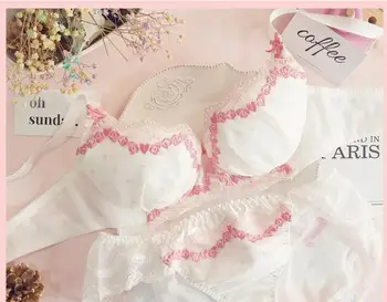 

Japanese Sexy Bra Push Up for Small Breast Underwear Set Women Young Girls Lingerie Underwire Bra Panties Thong Brasiere Femme