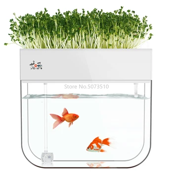 

Water-free Ecological Goldfish Tank Living Room Home Desktop Small Symbiosis System Flower Muzy Lazy Aquarium Fish Box