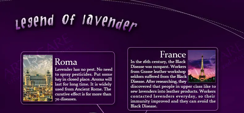 lavender_10