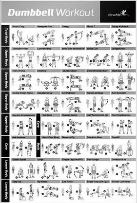 More Style Dumbbell Workout Bodybuilding Exercise Bodyweight Chart Yoga Art Film Print Silk Poster Home Wall Decor 24X36Inch|Painting & Calligraphy| - Aliexpress