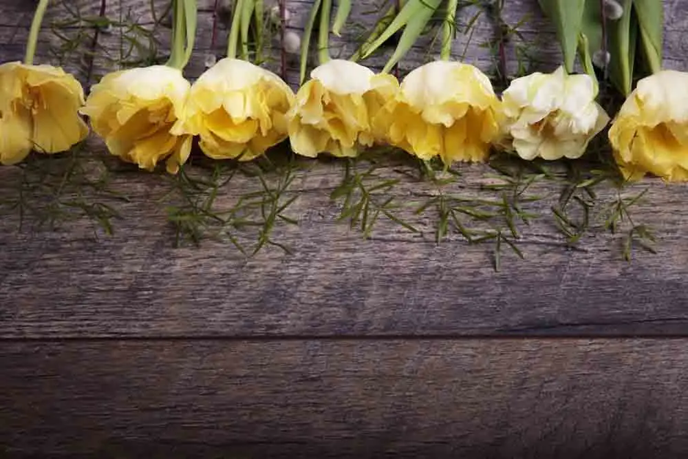SHUOZHIKE Vinyl Custom Photography Prop Floral and Wood Planks theme Photo Studio Background TW19912-521134 SHUOZHIKE Vinyl Custom Photography Prop Floral and Wood Planks theme Photo Studio Background TW19912-521134