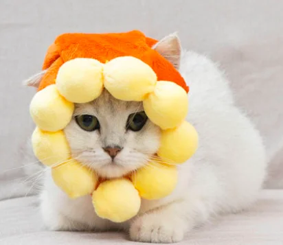 Cute Cat Head Band Cute Rabbit Cosplay Cap Cat Headdress Performance Props Funny Pet Hat Frog Lion Rabbit Head Headgear Cat Clothing Aliexpress