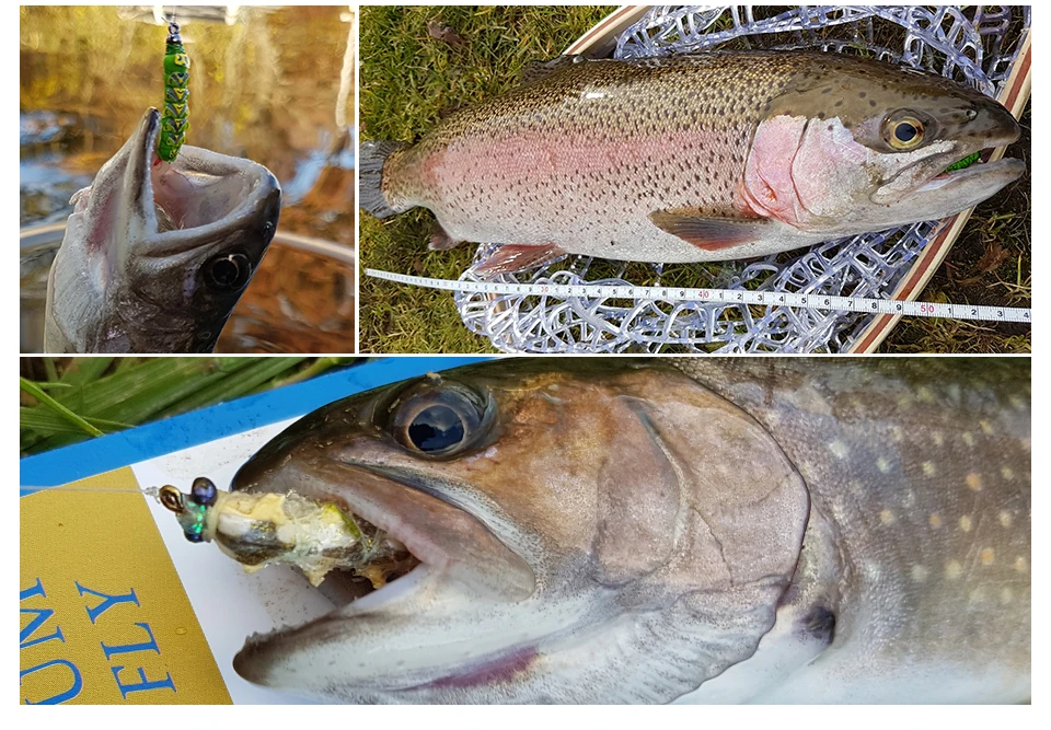 小盒飞蝇包装-组1详情图_08