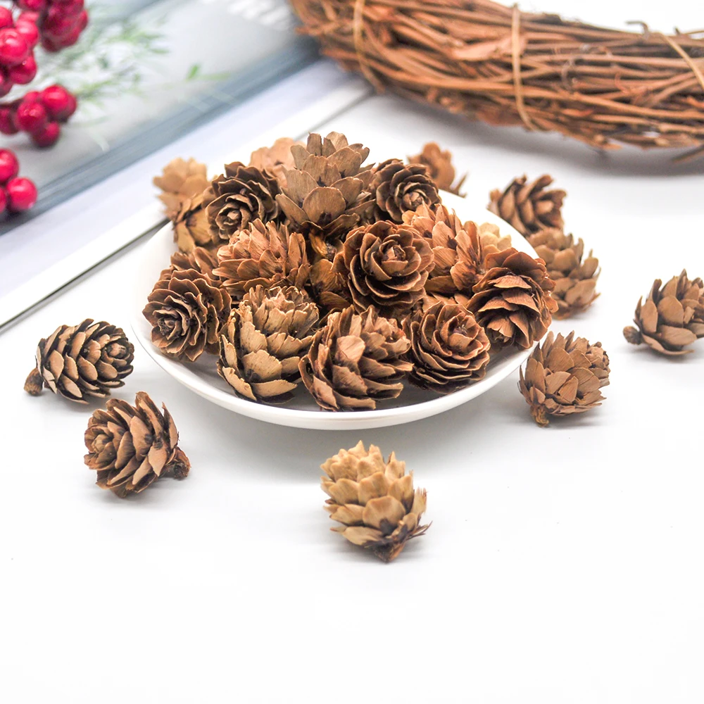 Pinecone (4)