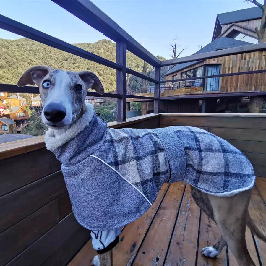 reflexivo à prova de frio, adequado para Whippet, outono e inverno