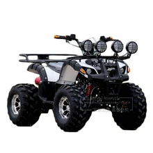 125CC с воздушным охлаждением бензиновый газ ATV 4 колеса песочный пляжный автомобиль багги цепной привод мотоцикл мини квадроцикл