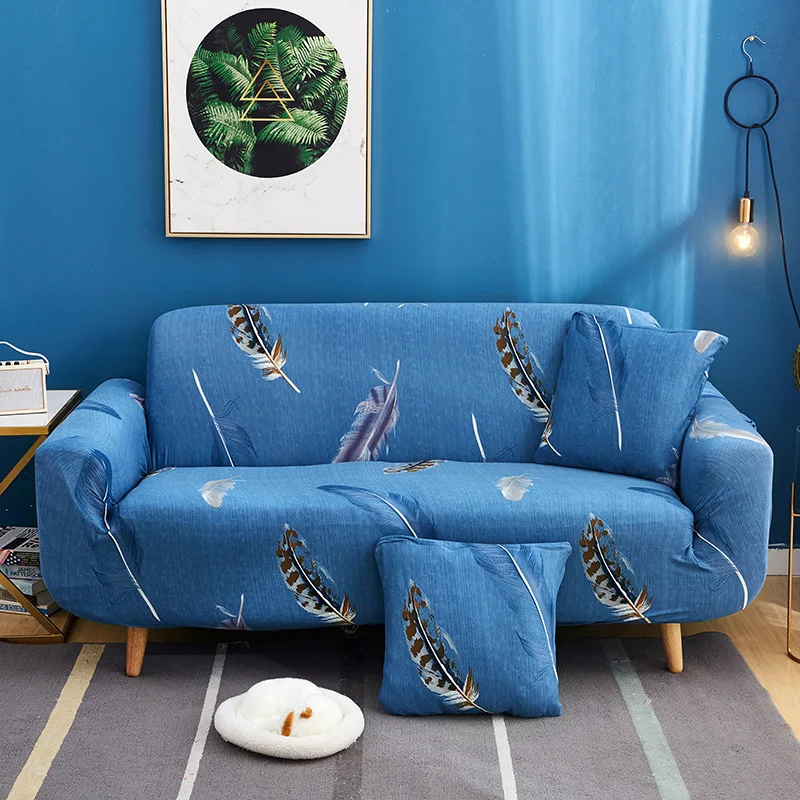 11388342860_1044884733