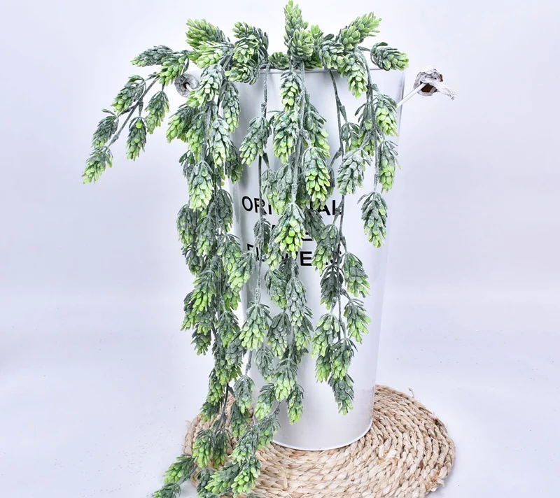 11258670881_1242088923