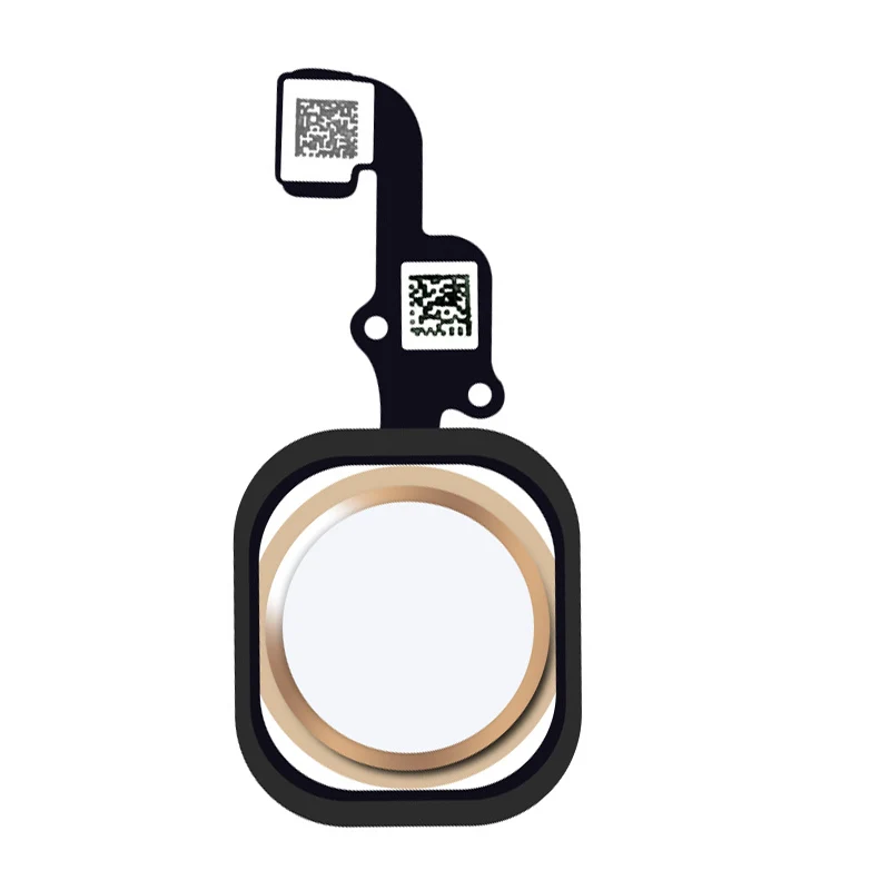 HTB1OlRRmj7nBKNjSZLeq6zxCFXaW