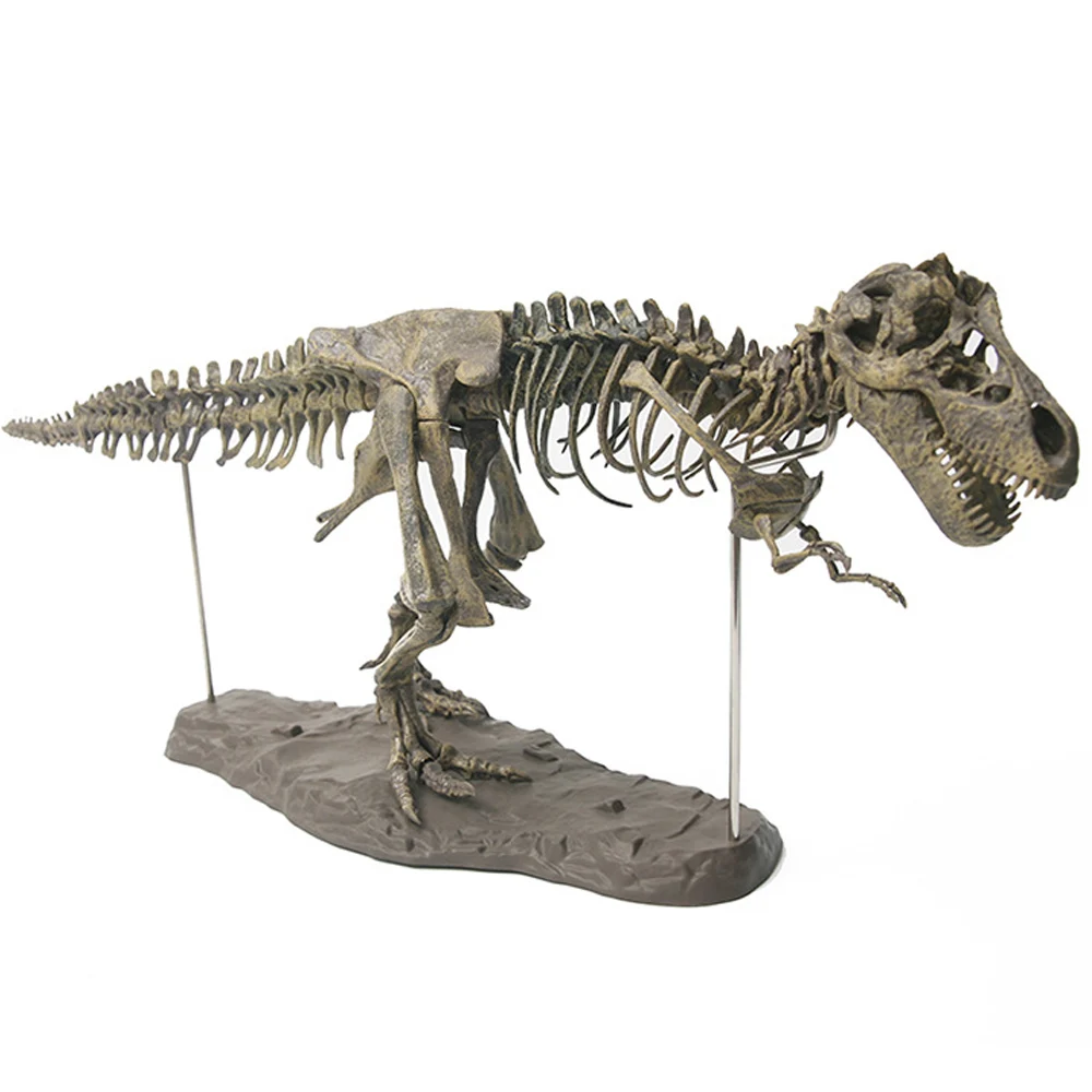 

4D Animal Model Toys Simulation Large Dinosaur Fossil Tyrannosaurus Assemble the skeleton model Toys Home Decoration