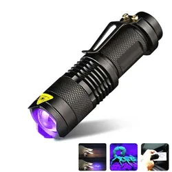 Lampe de poche LED UV, torche ultraviolette avec fonction Zoom, Mini UV 365nm/395nm, lumière noire, détecteur de taches d'urine animale, chasse au Scorpion 