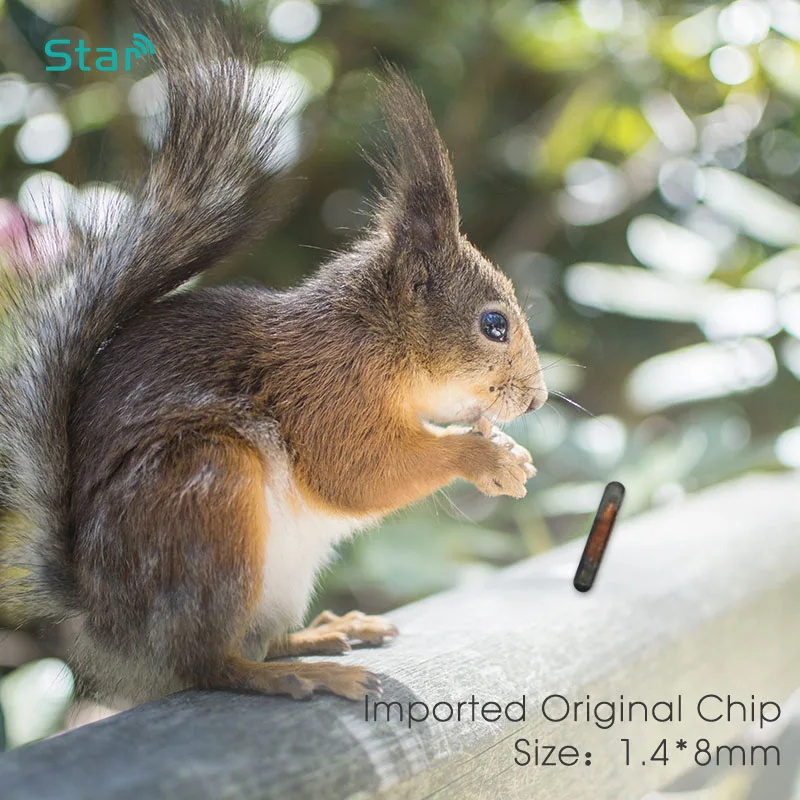 Рисунок 5 - Шприц с микрочипом для имплантации животных