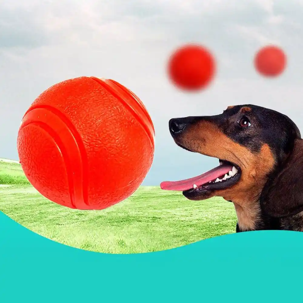 exercise ball carrier