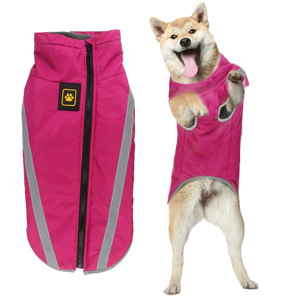 dogs with waterproof coats