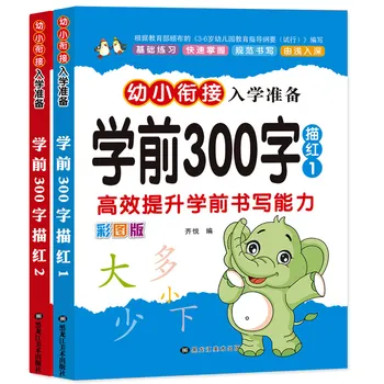 

2 Books/Set Chinese Basics 300 characters han zi writing books exercise book learn Chinese preschool workbook for Kids
