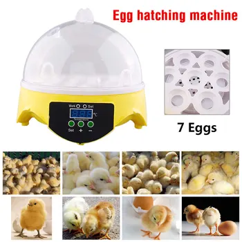 

Mini Home 7 Egg Incubator Poultry Brooder Machine Cheap Digital Temperature Chicken Duck Bird Pigeon Quail Egg Incubator Hatcher