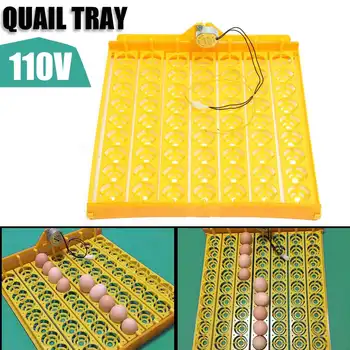 

Meigar 110V 63-egg Automatic Turner Chicken Quail Bird Eggs Poultry Tray Incubator Hatching Pigeons Temperature control