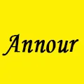Annour Global Store