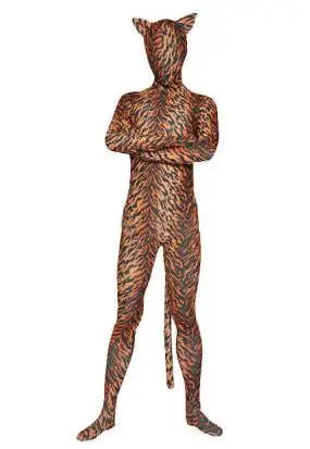 QQ截图20200113180248