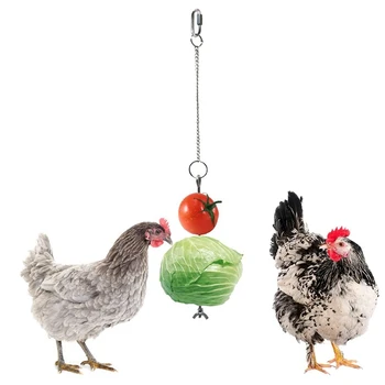 

Chicken Veggies Skewer Fruit Holder for Hens Pet Chicken Vegetable Hanging Feeder Toy for Hens Large Birds- Silver