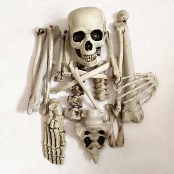 

Halloween Skeleton Haunted House Secret Room Bar Horror Props Decoration Whole Decoration Human Bones Skull