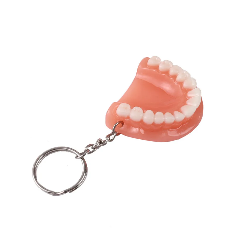 Creative Tooth Key Chain Resin Molar Upper Jaw Model Shape Denture
