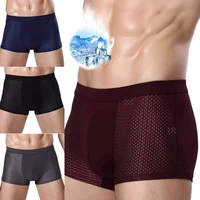 Men's Breathable Mesh Pantie Modal Gentle Flexible Super-elastic Boxer Soft Summer Men's Underpants Men's Boxer Pantie Plus Size