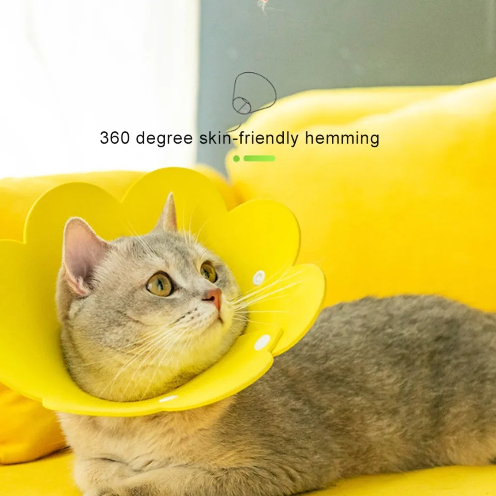 313838_no-logo_313838-1-02-g