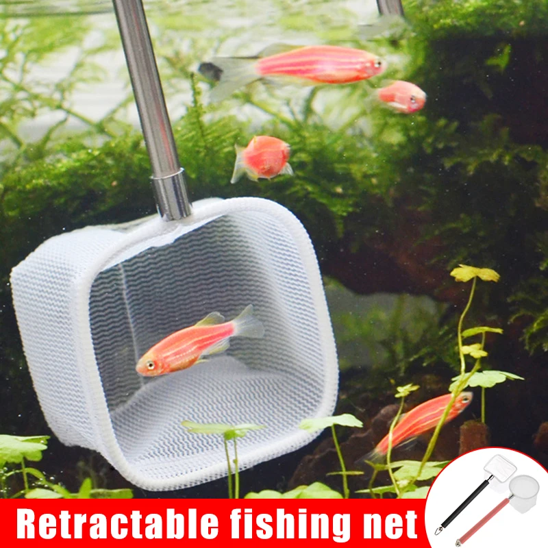 Aquarium Shrimp Net Mini Fish Fine Mesh Telescopic Tiny Skimming Quicknet with Stainless Long Handle P666 | Дом и сад