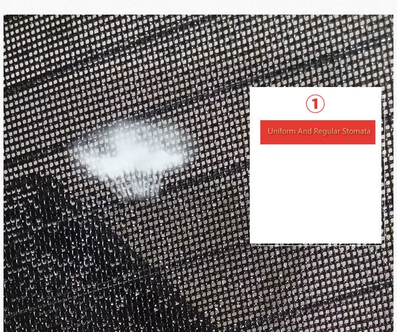 XiuXiu20193181449542