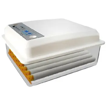 

Full-automatic Small Household 16 Eggs Incubator for Peacock Duck Goose Egg Quail Chicken 220V Incubator