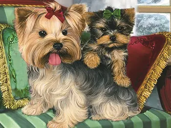

Diamond Painting Dog Yorkshire Terrier 5d Diy Mosaic Full Round Drill Diamant Of Rhinestone Daimond Embroidery Pictures Sale