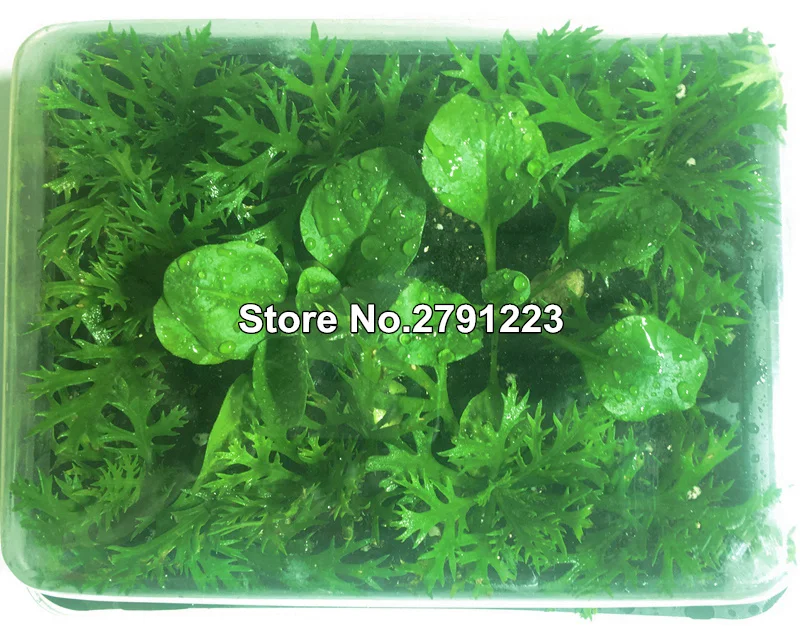 O1CN012ArkmU1ZKr52k4C_!!360838257