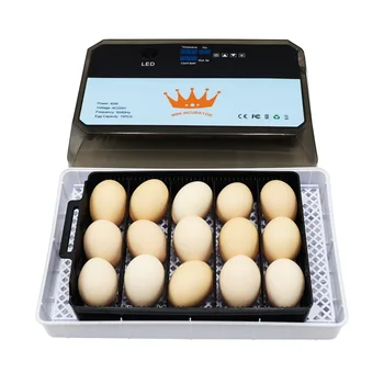 

Mini Digital 12-15 Eggs Incubator Automatic Temperature Brooder Chicken Duck Bird Egg Hatcher Farm Poultry Hatchery Machine