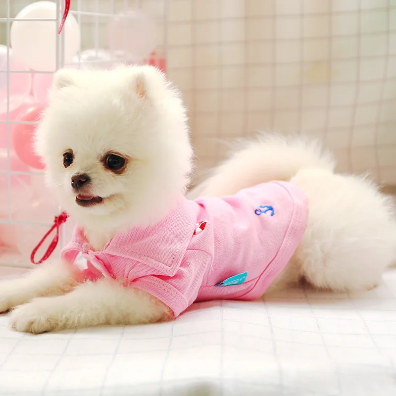 宾利小熊polo24 (2)