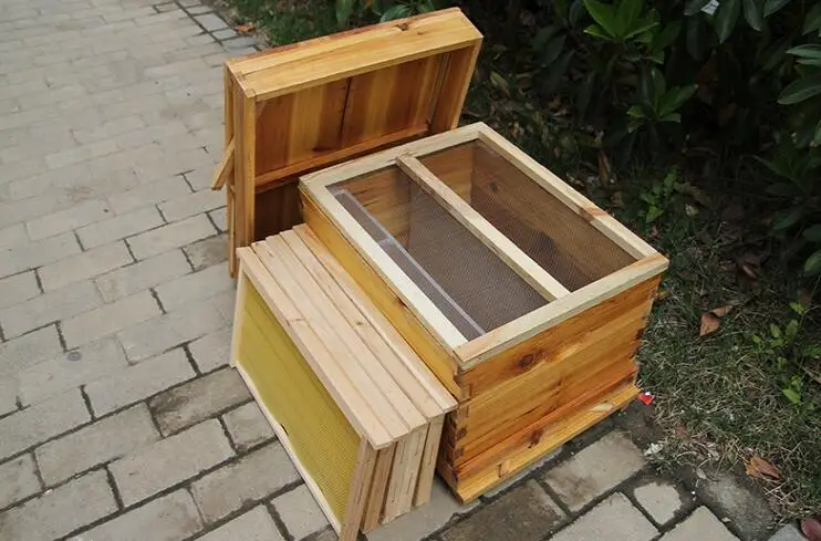 QQ截图20200131164713