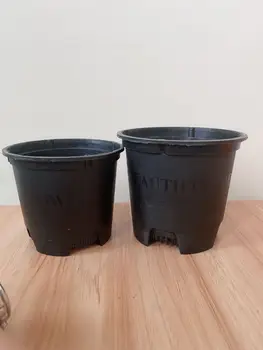 

Mini Plastic Round Flower Pot Nursery Planter Home Decoration