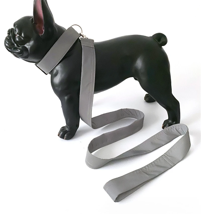 Personalized Collar (16)