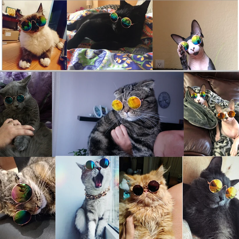 Трансер Pet Cat поставка УФ кошачьи солнцезащитные очки Защита глаз Одежда Аксессуары для ухода за кошками 80329