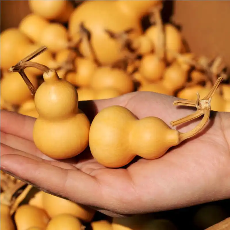 luo han guo dried siraitia grosvenorii fruit/home party decor