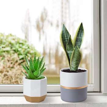 

Phnom Penh Ceramic Plant Pot Set 2Pcs for Indoor Plants Flower Succulent with Drainage Hole Household Decorative FP8