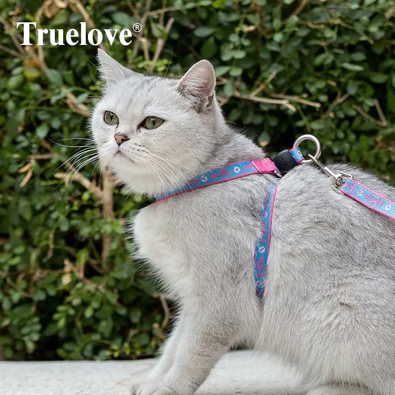 Truelove поводок для кошек Нейлоновый Регулируемый Светоотражающий Поводок котят и