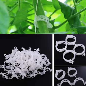 

50pcs Plant Vines Support Clips 23mm Plant Support Clips For Vegetables Hanging Trellis Vine Connects Plants Protection Supplies