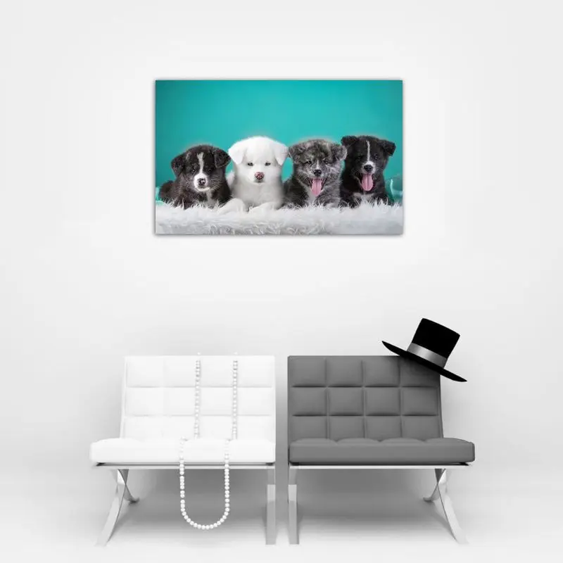 Dogs DIY 5D Full Drill Diamond Painting Embroidery Cross Stitch Kit Rhinestone  Home Decor Craft Q6PE