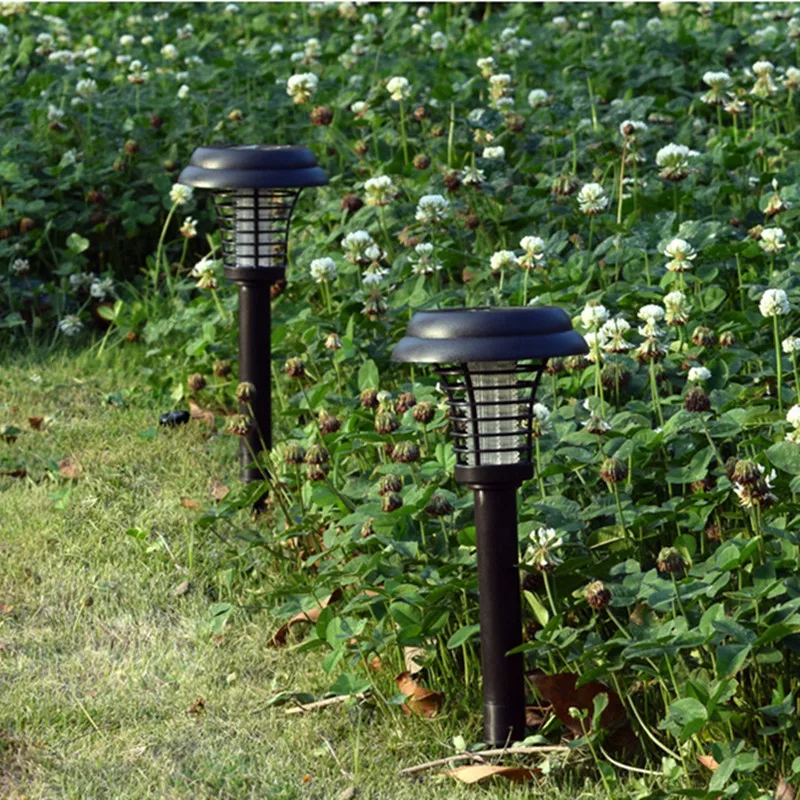 9154790646_992036545