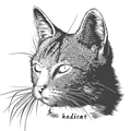 KEDICAT Store