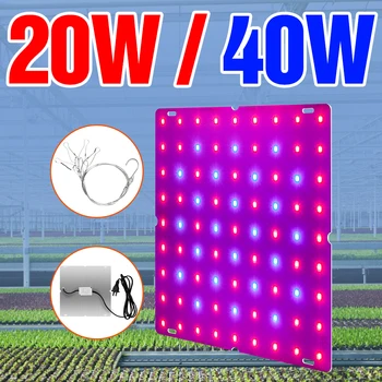 

LED Grow Light 20W 40W Phytolamp LED Full Spectrum Plant Growth Lamp 220V Greenhouse Seedling Fito Light LED Flower Seed Lampada