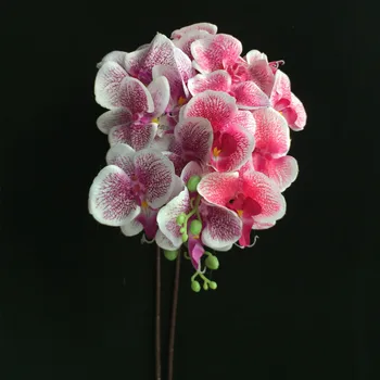 

5Pcs Fake Long Stem Moth Orchid (9 heads/piece) 39.37" Simulation Leopard Print Phalaenopsis for Wedding Home Artificial Flowers