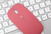 Computer Peripherals