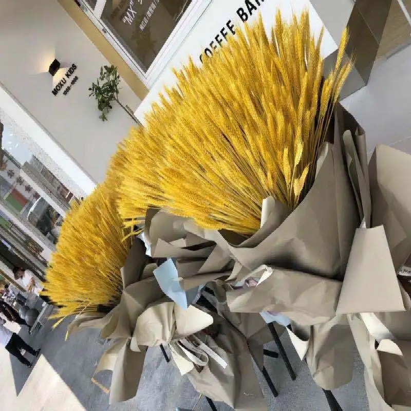 16051096245_179027579